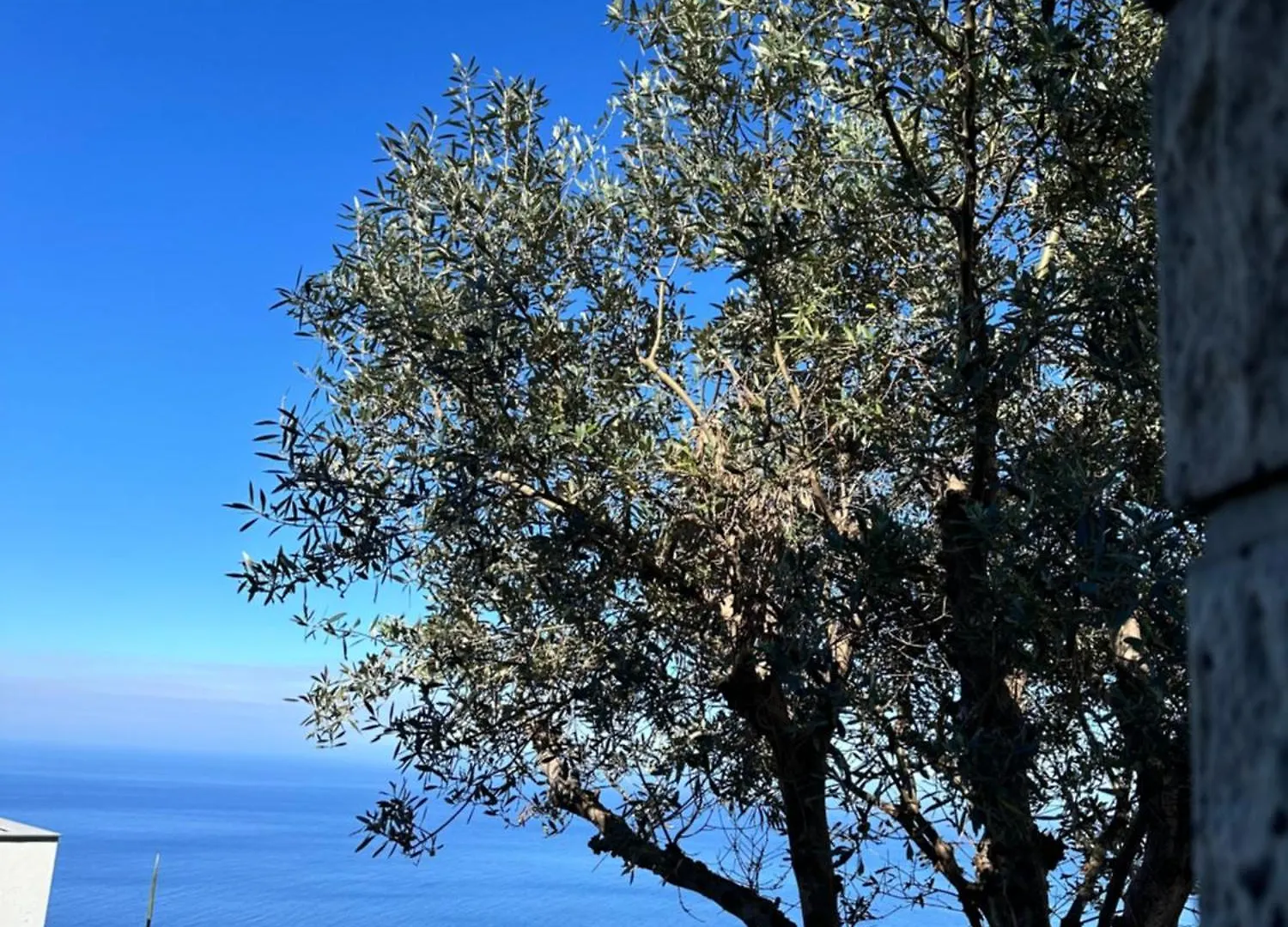 Prázdninový dům Vila Cozy Sea View House Faja Da Ovelha Calheta